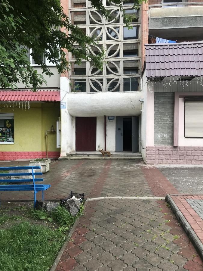 Чудова Квартирка В Кам'Янці -Подільському Kam'janec'-Podil's'kyj Esterno foto